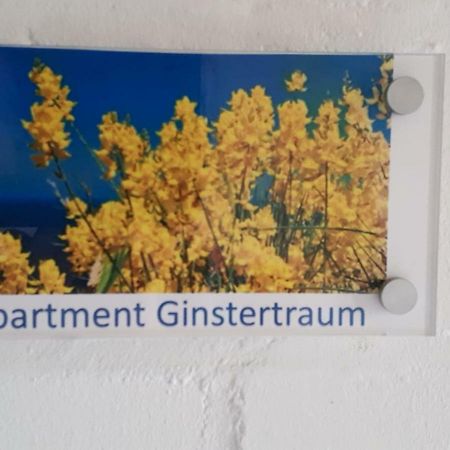 Appartement Ginstertraum Λούνεμπουργκ Εξωτερικό φωτογραφία